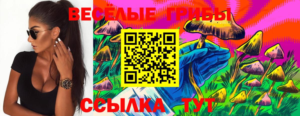 Псилоцибиновые грибы Psilocybine cubensis  Псилоцибиновые грибы Psilocybine cubensis  Топки  Вход с VPN 