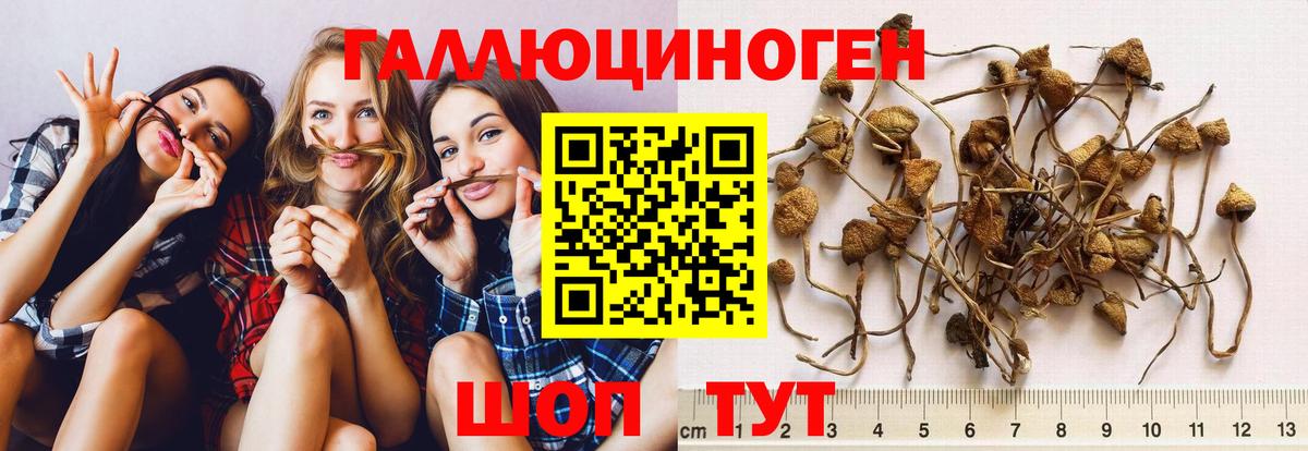 Галлюциногенные грибы GOLDEN TEACHER Топки